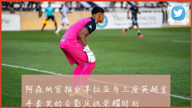 阿森纳官推分享拉亚与三座英超金手套奖的合影庆祝荣耀时刻