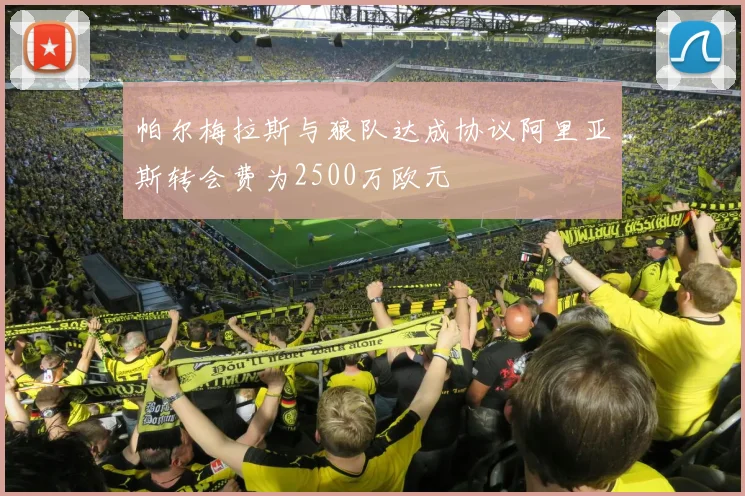 帕尔梅拉斯与狼队达成协议阿里亚斯转会费为2500万欧元
